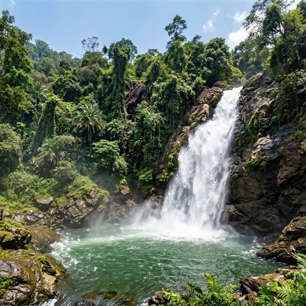 Soochipara Falls on Instagram